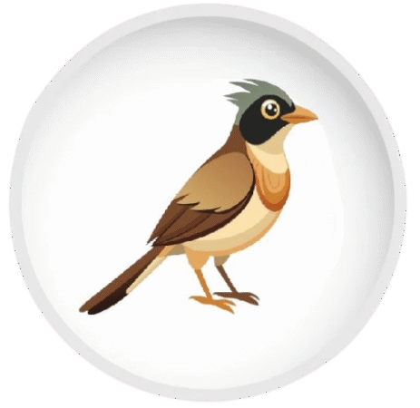 koyalb.com